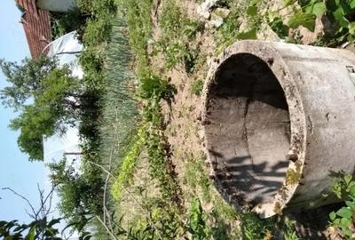 Casa de vanzare (schimb) ,in Cara? Severin , Farliug. - 3