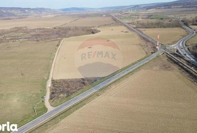 Teren de 19319 mp, în Laslea - 5