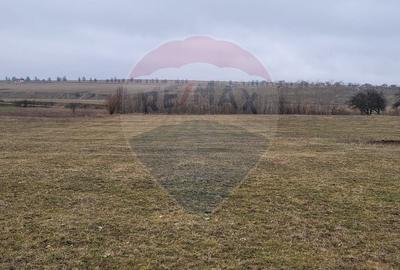 Teren agricol intravilan de 2592 mp, în Lipoveni - 17