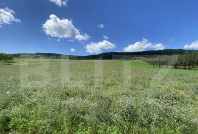 Teren intravilan in suparafat de 19213 mp, zona Valea Mitii - 1