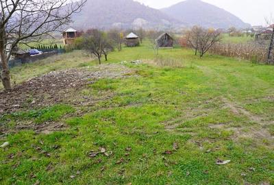 Teren 7968 mp Sighetu Marmatiei / Strada Lazu Baciului - 2