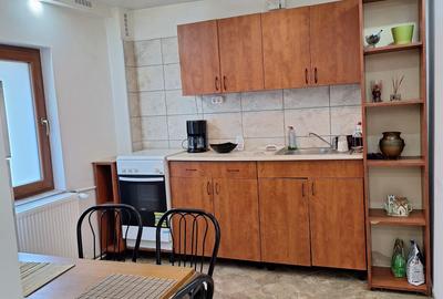 Garsoniera bd Decebal/Piata Alba Iulia Garsoniera bd Decebal/Piata Alba Iulia - 1