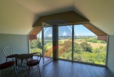 Vila cu 6camere de vanzare in Carcea/Dolj - 5