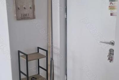 Apartament cu 2 camere decomandat în Parcul Carol - 9