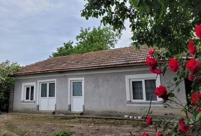 Casă cu 5 camere cu Teren 1351 Mp în Cernica - 5