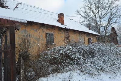 Teren de 2880 mp, în Mustești - 3