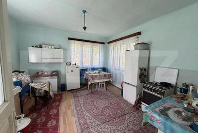 Casă cu 3 camere cu Teren 5000 Mp în Petrindu - 8