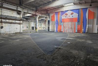 Spațiu comercial, de 3,150 mp, în Rudului - 11