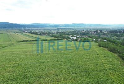 Teren de 3.600 mp Racova - 3