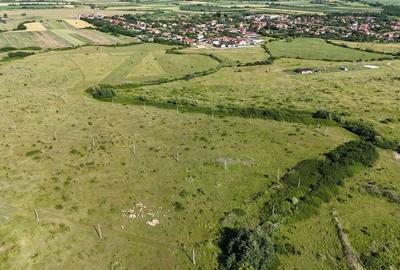 Terenuri zona  MOSNITA NOUA -  ALBINA . - 33