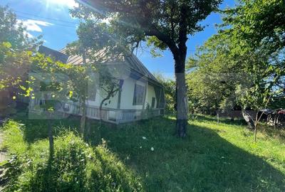 Casa + teren intravilan (5.916mp) -Fantana Mare - 3