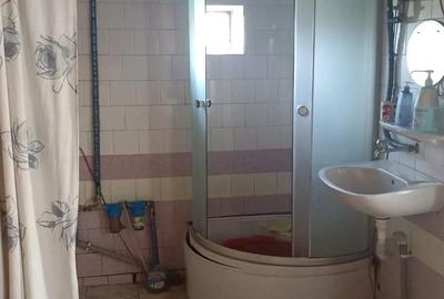 Casă cu 3 camere cu Teren 1750 Mp în Freidorf - 3