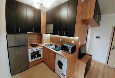 Garsoniera de inchiriat in zona Buziasului - 3