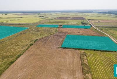 Teren 15Ha cu acces cale ferată - 2