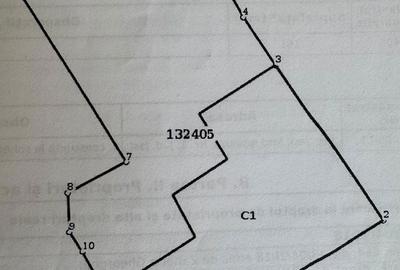 Casă cu 2 camere cu Teren 161 Mp în Central - 3