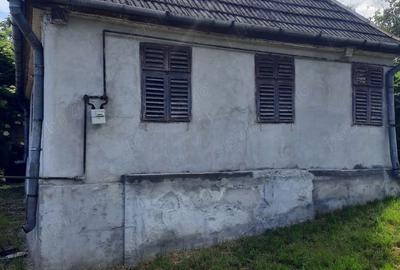 Casă cu 2 camere cu Teren 1600 Mp în Frunzeni - 1
