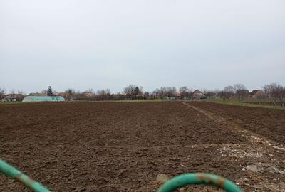 Casă individuală cu 5 camere cu Canalizare în Mailat - 6