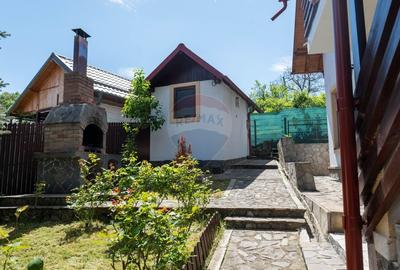 Vanzare casa de vacanta, Slanic Prahova - 49