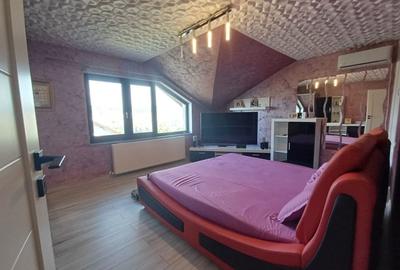 VILĂ CU 5 CAMERE - 150 MP UTILI - BECI, GARAJ, 717 MP TEREN, VIȘAN-BUCIUM - 32