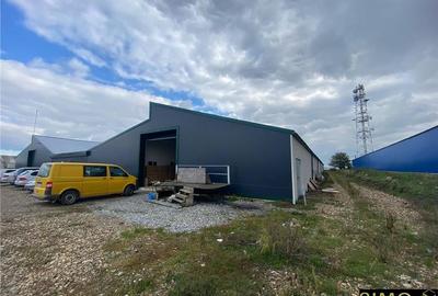 Hala de inchiriat - Bosanci - 4