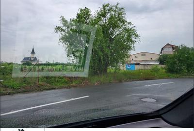 Teren de 10000 mp, în Gai