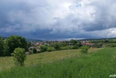 Teren de 4500 mp, în Snagov
