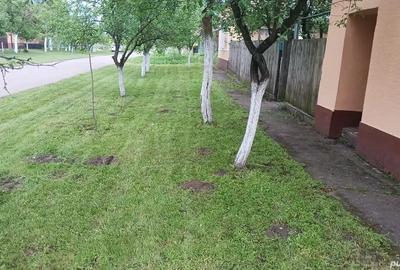 Casă cu 4 camere în Călacea - 5