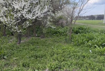 Casă cu 3 camere în Predești - 3