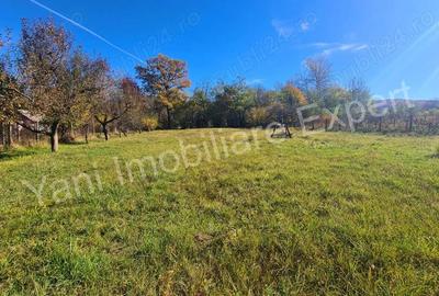 Casă cu 4 camere cu Teren 2714 Mp în Central - 20