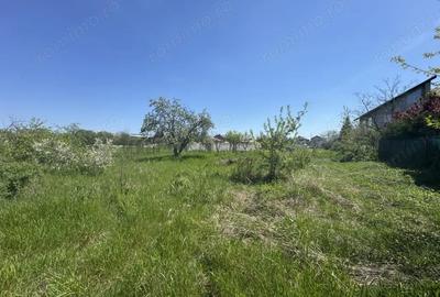 Teren de 2775 mp, în Olteni - 6