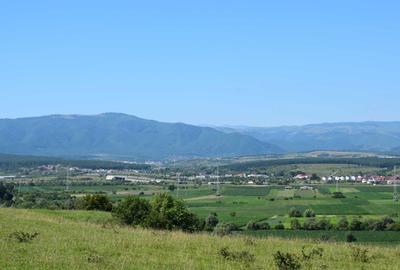 Spațiu comercial, în Bungard - 3