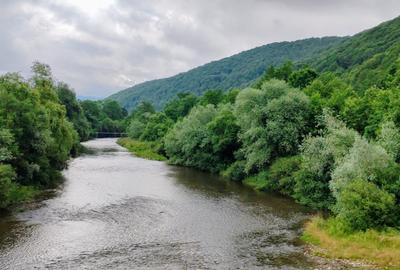 2,64 Ha TEREN SUPERB pe malul raului Crisul Repede padure parau NEGRENI - CLUJ - 26