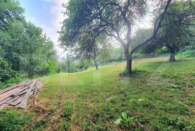 Teren intravilan, 31 ari, Ilva Mica, zona montana - 1