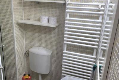 Apartament cu 3 camere decomandat, mobilat în Aradului - 5