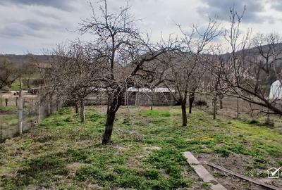 Casă cu 3 camere cu Teren 579 Mp în Moldovenești - 15