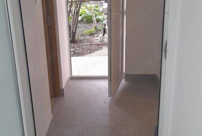Spatiu Comercial Blvd Cosminului - 5