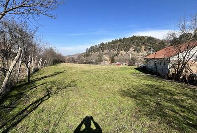 Spațiu comercial, în Săsciori - 2