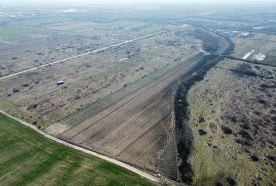 Teren Construcții extravilan de 24000 mp, în Moșnița Nouă - 4