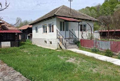Casă cu 3 camere cu Teren 3000 Mp în Central - 3