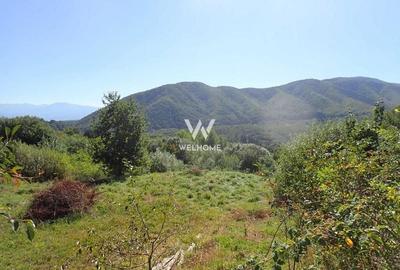 Teren intravilan Cisnadioara, Sibiu - 1