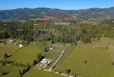 Teren 19,370mp Neagra Sarului / Strada ?estina - 2