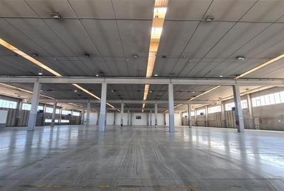 Spațiu industrial, 5000 mp în Șagului