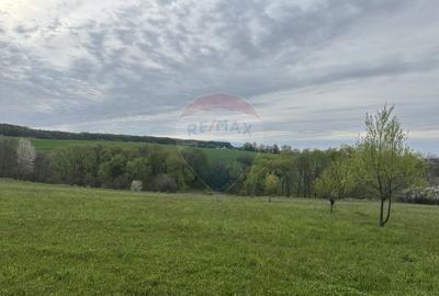 Teren Construcții intravilan de 3000 mp, în Oșlobeni - 5