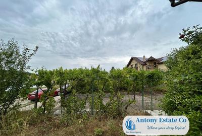 LAKESIDE HOME - Paleu - 7