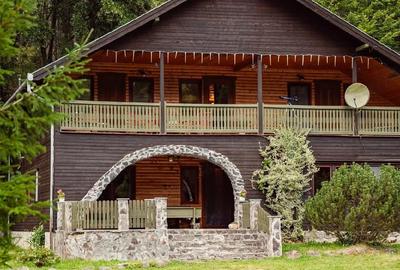 Casă cu 4 camere cu Teren 8000 Mp în Izvoare - 1