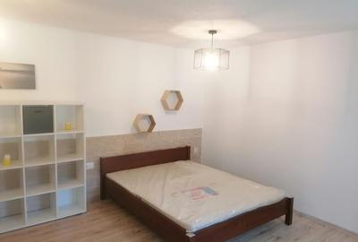 Apartament 1 camera -str Traian Mosoiu-Centru - 4