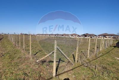 Teren Construcții intravilan de 2500 mp, în Lazu - 4