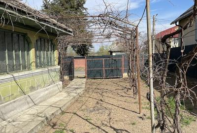 Casă cu 3 camere cu Teren 760 Mp în Ciolpani - 3