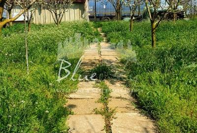 Casă individuală cu 2 camere cu Canalizare în Mihail Kogălniceanu - 12