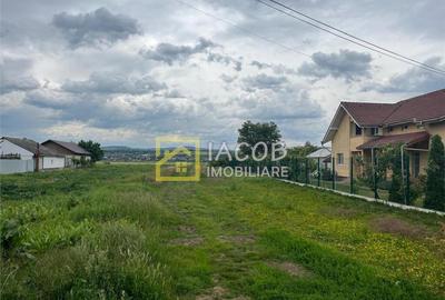 Teren intravilan Lilieci, Hemeius, Bacau - 4